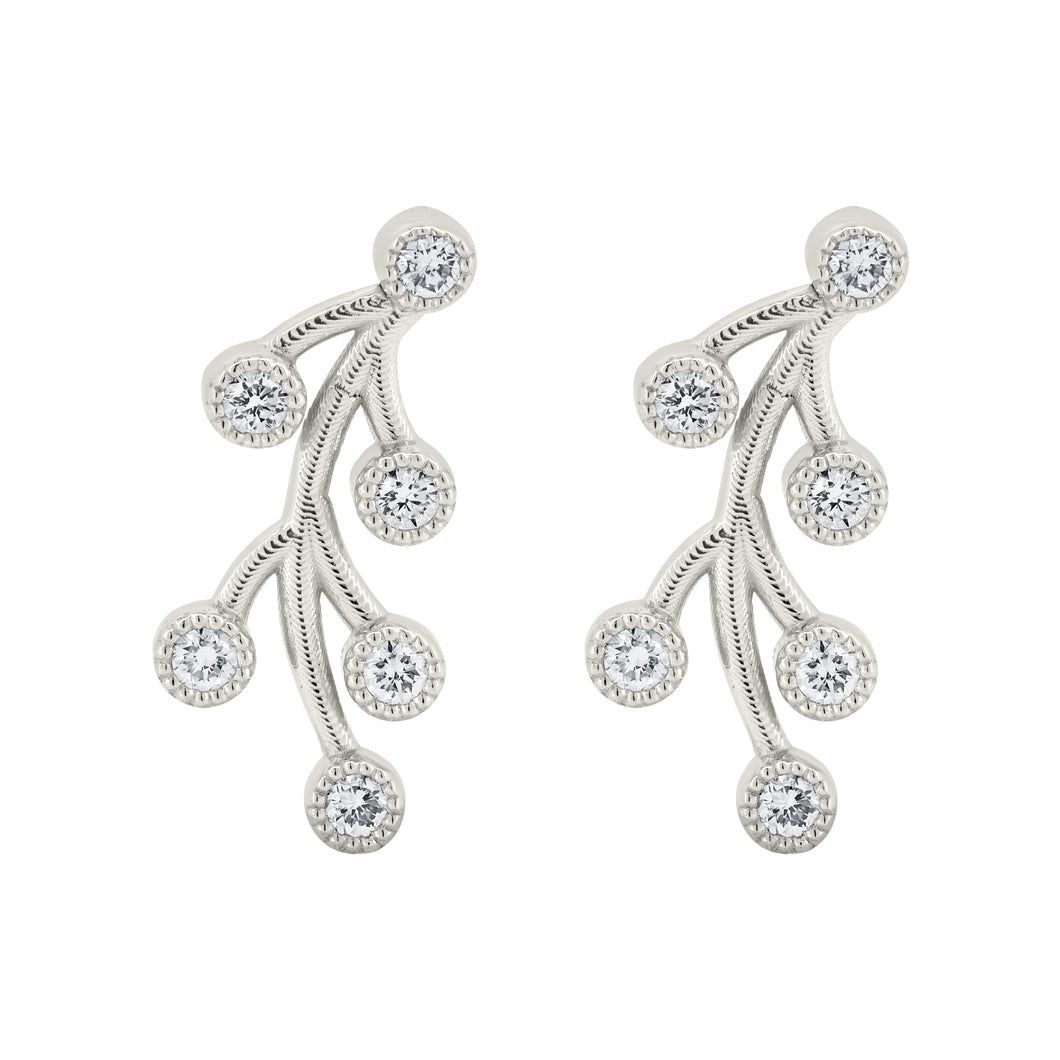 Diamond Ear climbers